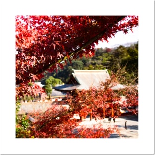 Photography - Japanese fall Posters and Art